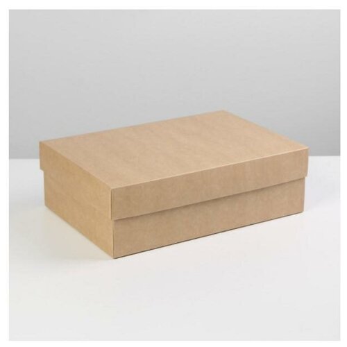 ���� 7302878 ������� �������� ��������� 30*20*9 ��, ������ �� 271 ���