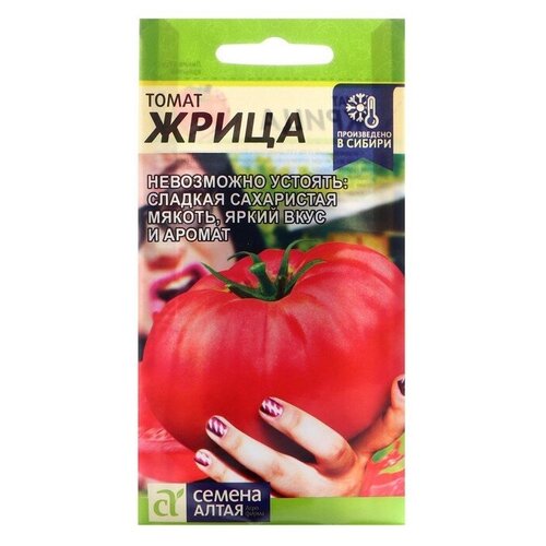 ���� ������ ����� 