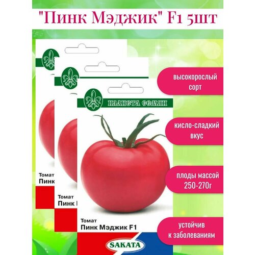 ���� ������ ������ ���� ������ F1, ������ �� 439 ���