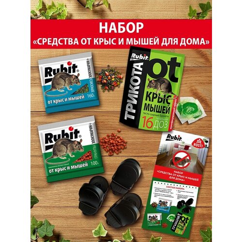 ���� ����� ������� � ������ �� ����� � ����, ������ �� 285 ���