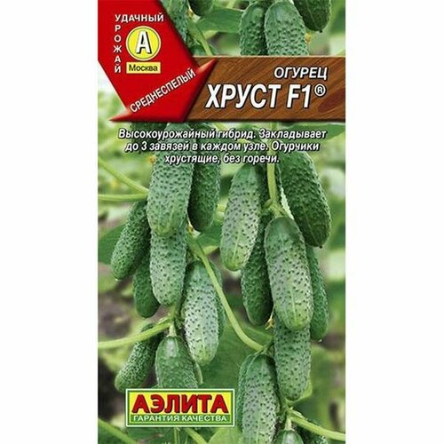 ���� ������ ������ ����� F1 ��, ������������, (������) 10��, ������ �� 56 ���