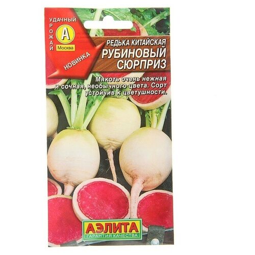 ���� ������ ������ ��������� 