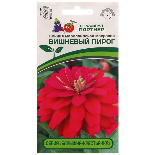 ���� ������ ��������� ������� ������ �������� �������� �����, 5 ��, ������ �� 345 ���