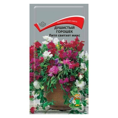 ���� �������� ������� ���� ������� ���� �����. 0,5��. (�����), ������ �� 124 ���