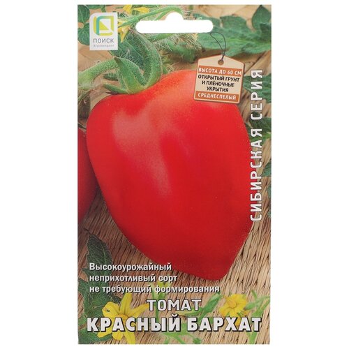 ���� ������ ����� ��������� ����� ����� ������� ������, 15 ��., ������ �� 50 ���