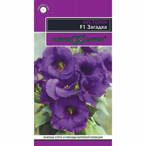 ���� ������ ������� ������� (�������) F1, ����������, (������) 5�� ������. ��������, ���������, ������ �� 81 ���