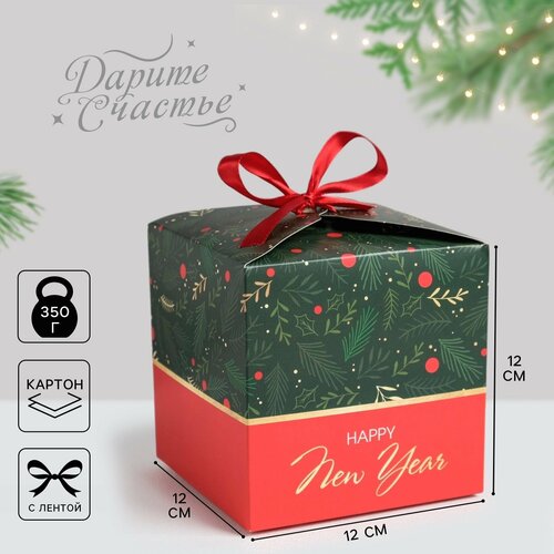 ���� ������� ���������� ������ � ����, 12 � 12 � 12 ��, ����� ���, ������ �� 231 ���