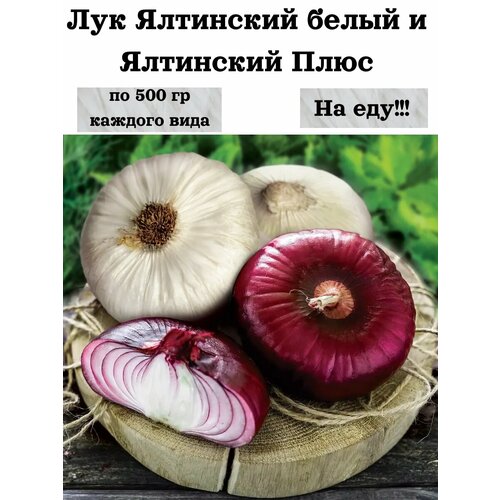       ,  NIK,  500   ,   500 