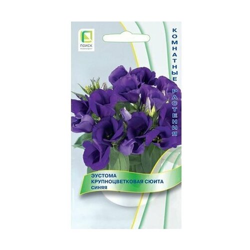 ���� ������ ������� ����� ����� ��������������� ����� 5 ��, ������ �� 260 ���