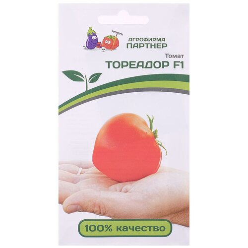 ���� ������ ������ 