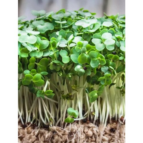   -  - 1 .        ,   130 