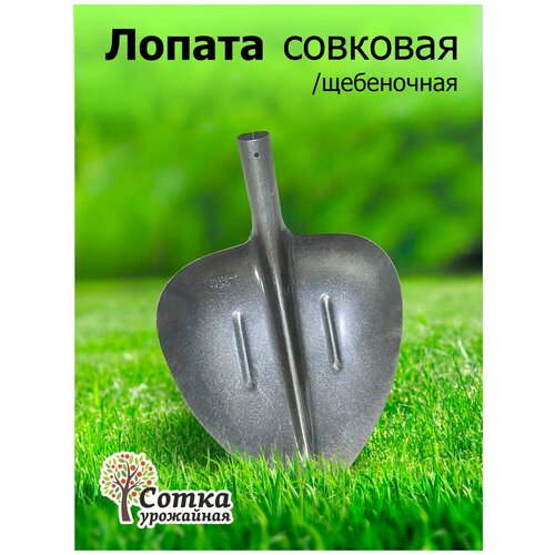   ` ` ,  , ,     ,   716 