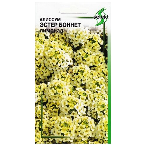 ���� ������� ����� ������, �������, 20 �����, ������ �� 264 ���