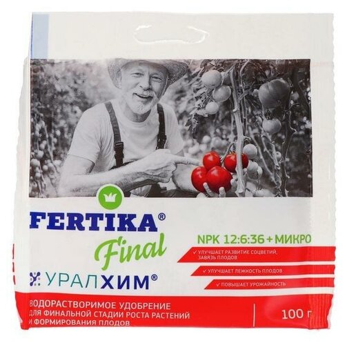 ���� ��������� ����������� 