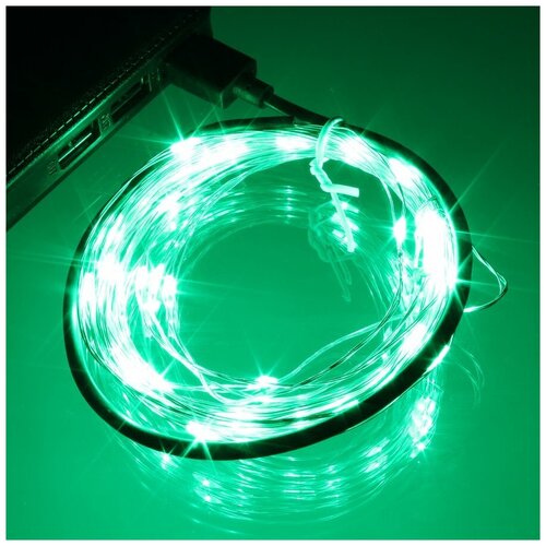 ���� �������� 