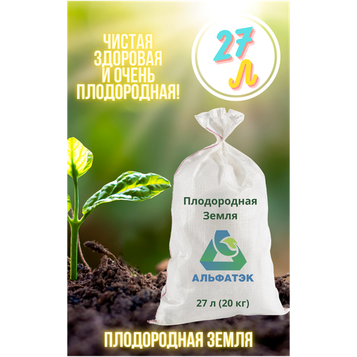 ���� ����������� �����, Alfatek, 27 � (20 ��), ������ �� 1899 ���