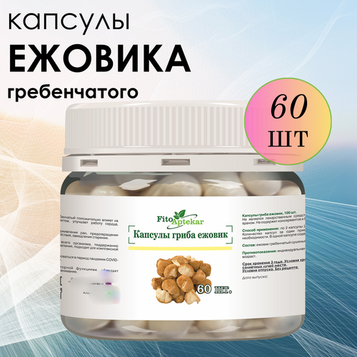 ���� ������ ���� ����������� � �������� ����-��������, ����������� ������� ������� 60 ��, ������ �� 800 ���