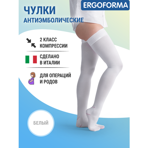 ���� ����� �������������� Ergoforma 2 ����� ����������, ������ 5, �����, ������ �� 1460 ���
