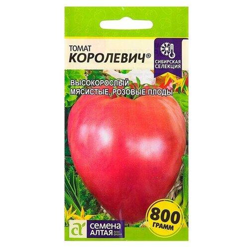 ���� ����� 