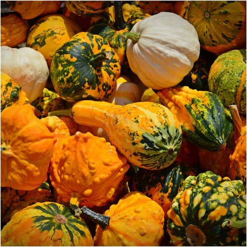 ���� ������ ������ ����� ������������ ����������� 5 ��., ������ �� 219 ���