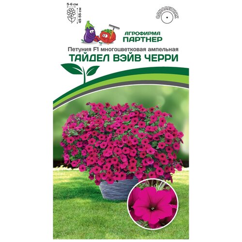 ���� ������ ������� �������������� ��������� 