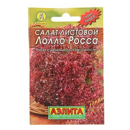 ���� ������ ����� ����� ����� 0,5� (������) �����, ������ �� 36 ���