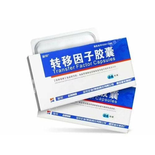 ���� �������