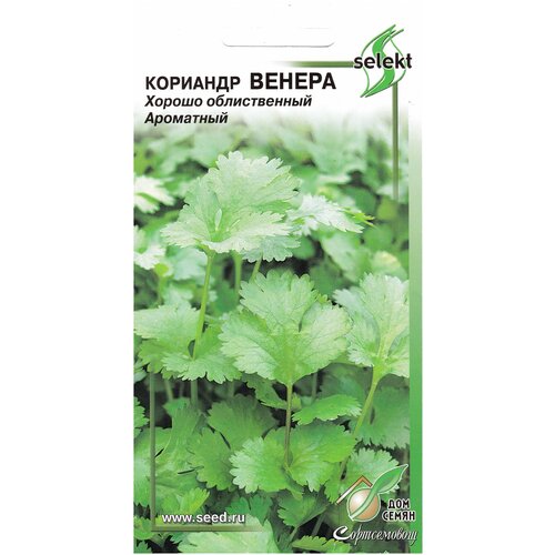 ���� �������� ������, 115 �����, ������ �� 241 ���