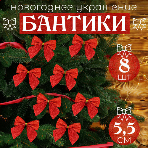 ���� ����� �� ���� ������� 8�� 5,5��, ������ �� 281 ���