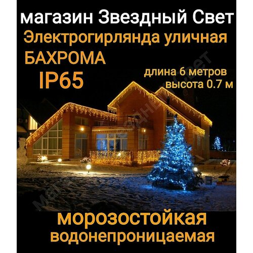 ���� ��������������� ������� ������� ������������ 6 ������ ������, ������ �� 1850 ���