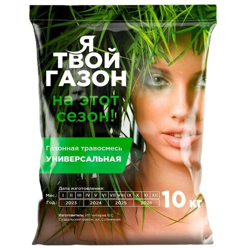 ���� ����� ������������� 