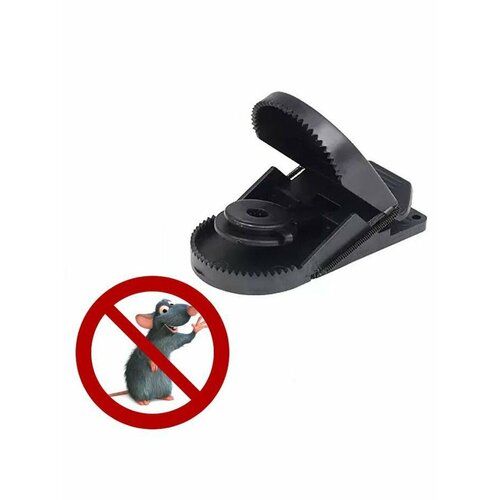 ���� ��������� ������������� 