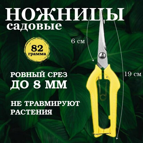 ���� ������� �������, ������� � ������� ������� �������� ��� �����������, ������, ��������, �����, 21 ��., ������ �� 515 ���