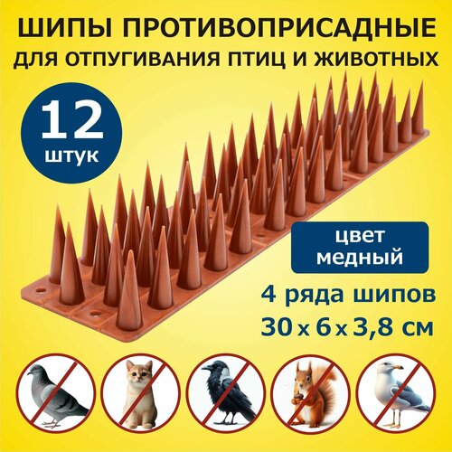          3006038   12 , ,  ,   2416 