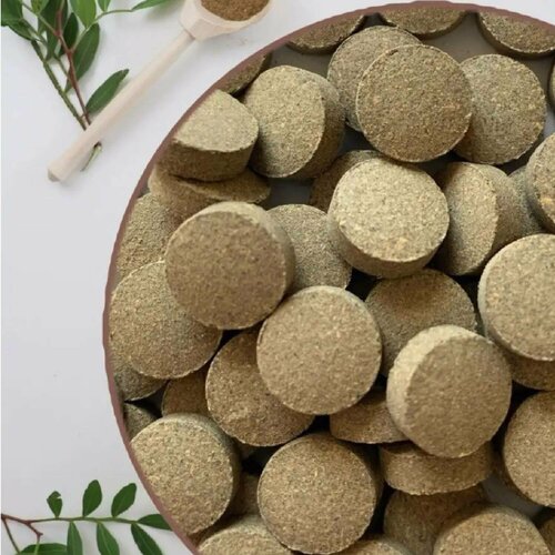 ���� ���� ����� � ������ ���� ������������ � ��������� 100 ��. 