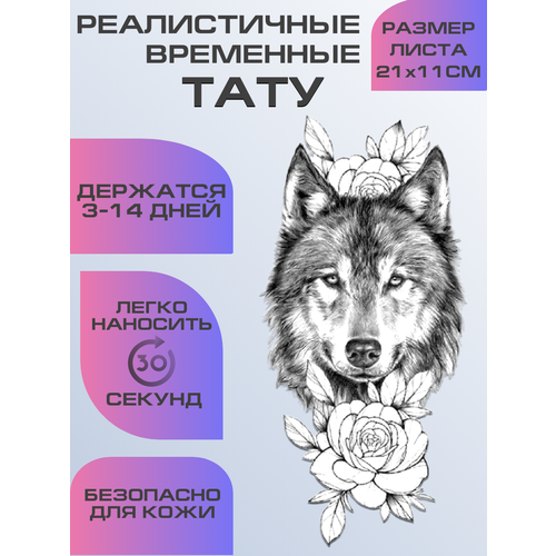 ���� ���� ���������� ��������������, ��������� ����, ������ �� 399 ���