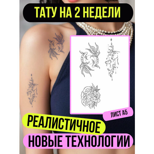 ���� ���� ���������� �������������� ��������, ������ �� 433 ���