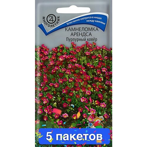 ���� ����� ���������� ������� ��������� ����� 5 �������, ������ �� 1034 ���