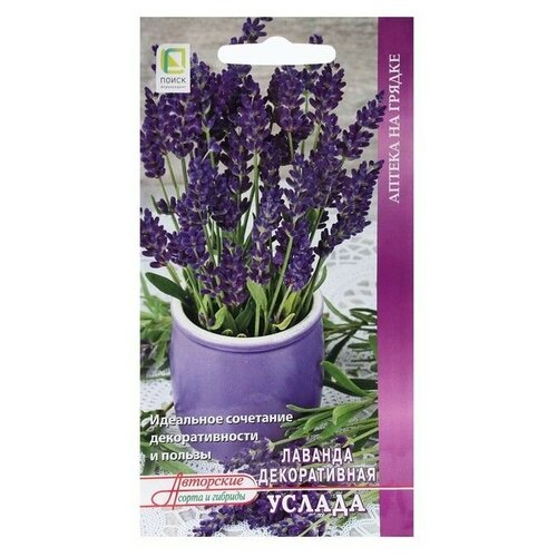 ���� ������� ������ (0,25 �), 2 ������, ������ �� 499 ���