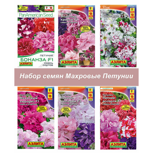 ���� ������ ���������� ������ ������� ��������� ��������, ����� �������, ������ �� 730 ���