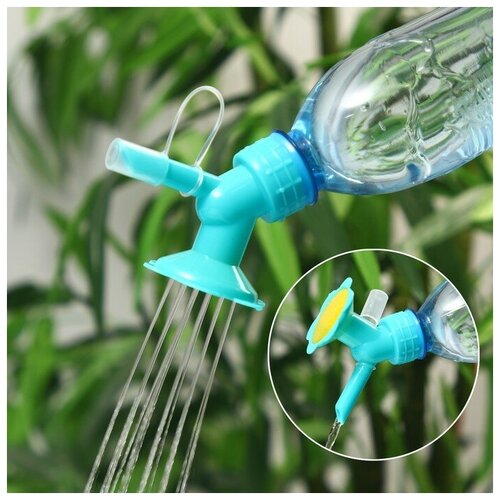 ���� �������-������������ �� �������, ���� ����, ������ �� 175 ���