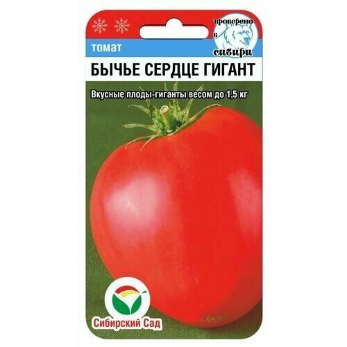 ���� ������ ����� ����� ������ ������ 20�� ����� (��������� ���), ������ �� 240 ���