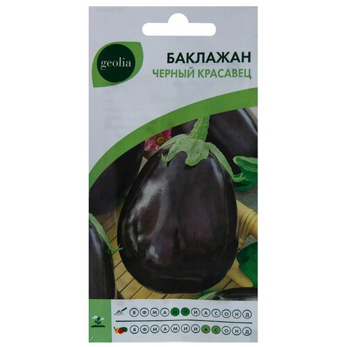 ���� ������. �������� 