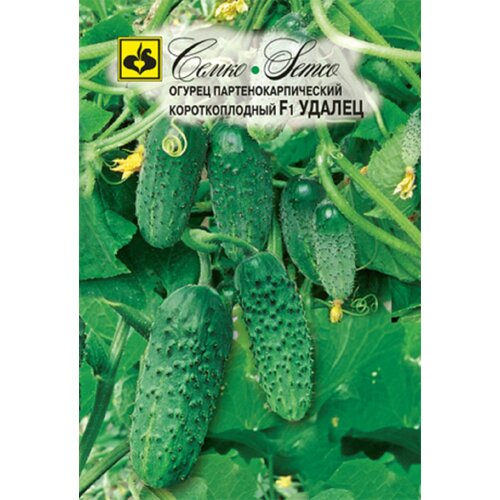 ���� ������ ������ ������ F1 10�� ������������������ ������ (�����), ������ �� 121 ���