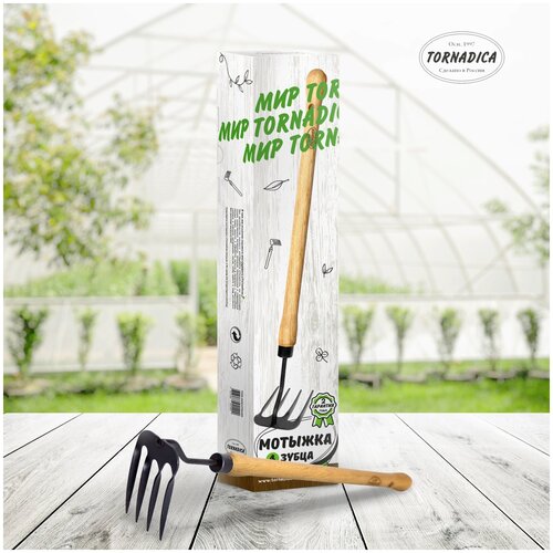 ���� ������� ������� 4 ����� ����� Tornadica (���������) � ���������� ������ �� ����, 590 ��., ������ �� 1504 ���