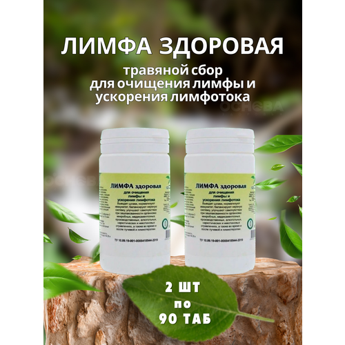 ���� ������� �. �/ �������� ���� 