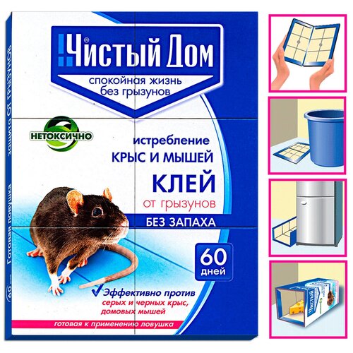 ���� ������� ������� ������ ��� �� �������� �����/������ 1 ��., ������ �� 261 ���