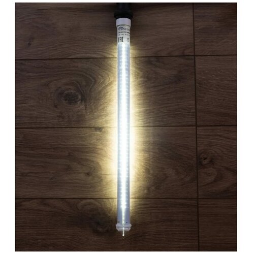 ���� �������� NEON-NIGHT ������ ��������, 1 ��. � ������, 0.5 � 0.5 � 0.5 �, 0.5 � 0.5 �, �����, ������ �� 1290 ���