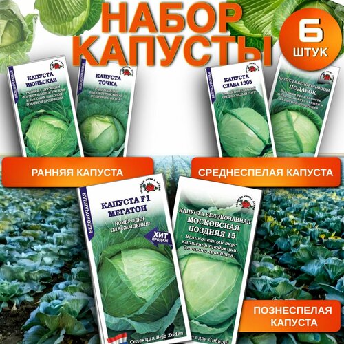 ���� ������ ������� ������� � ��. � ������ 6 ��.(������� ����� �����), ������ �� 349 ���