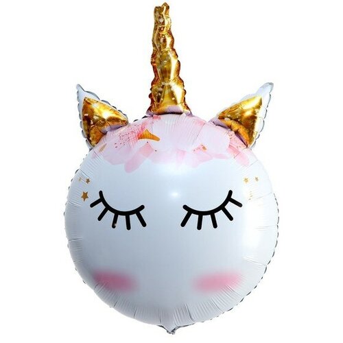 ���� ��� �������������� 24